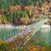 今日はハロウィーン!ハロウィンにぴったりなレシピをご紹介♪
