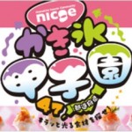 浜松で47都道府県のかき氷が楽しめる！？nicoeかき氷甲子園