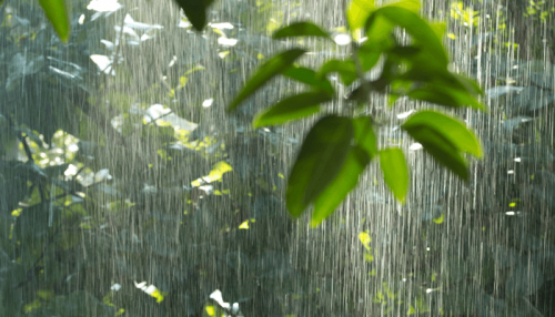 知ってた？いろんな雨の呼び方 | エネフィブログ♪