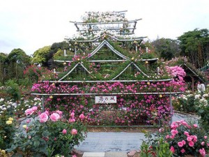 rose-miyako-garden_03