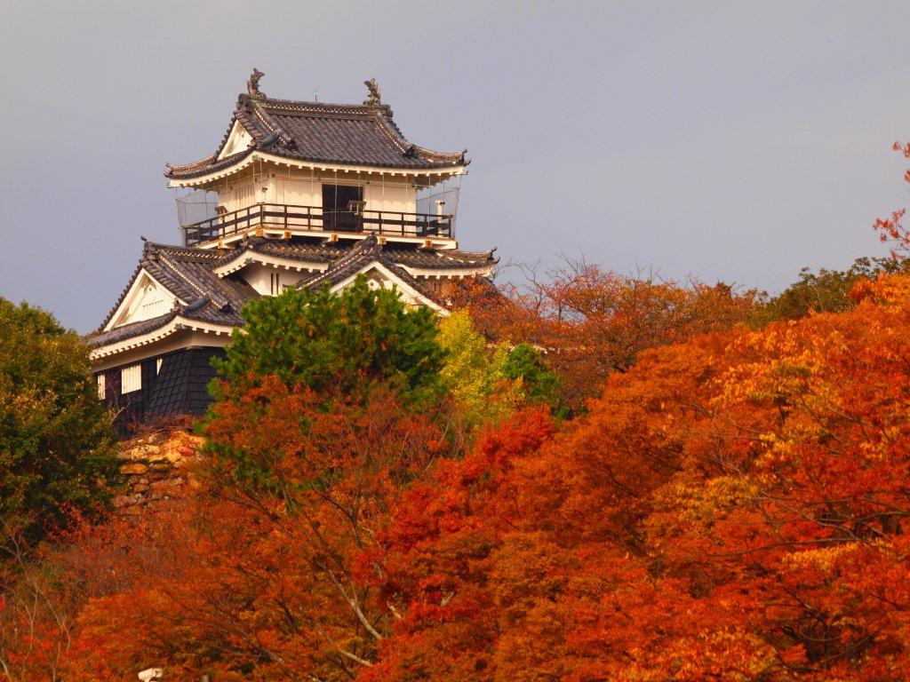 オススメ 紅葉の名所を紹介します 浜松エリアの生活 エンタメ情報はエネフィブログ