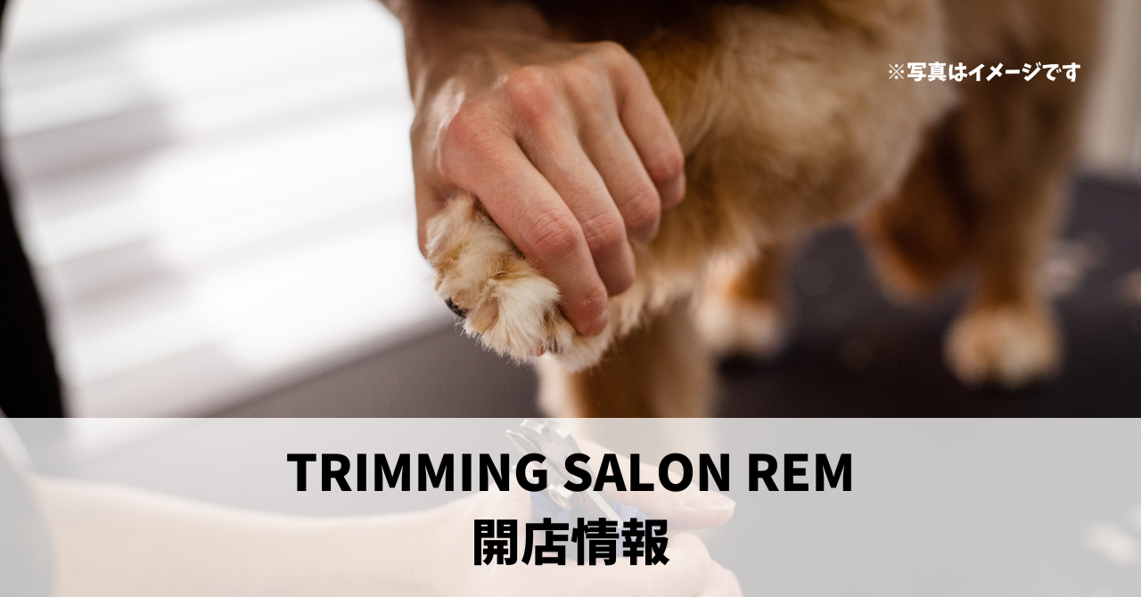 浜名区中瀬に『TRIMMING SALON REM』が6月28日にオープンしていました！