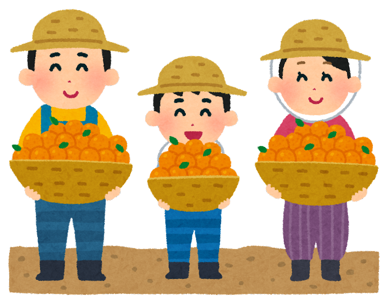 🍊今が旬!みかんについて🍊