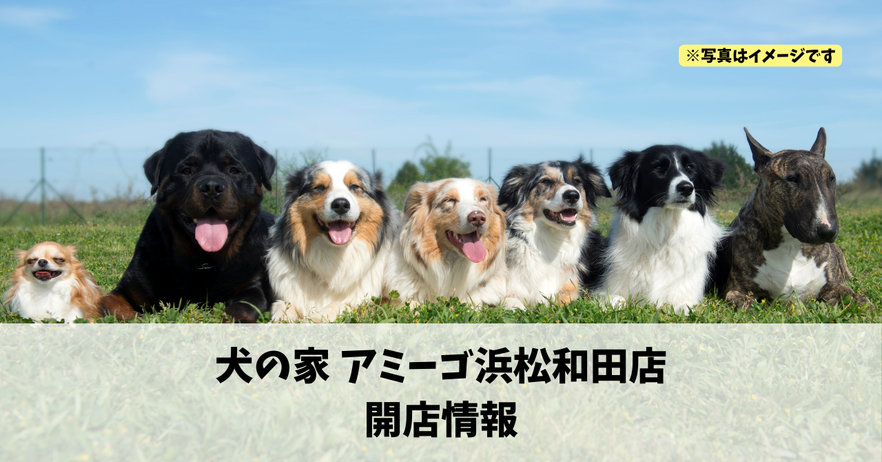篠ケ瀬町に『犬の家 アミーゴ浜松和田店』が2026年3月18日にオープンします!