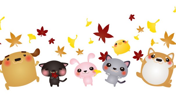 あなたは言えるかな?動物達の英語での呼び方♪