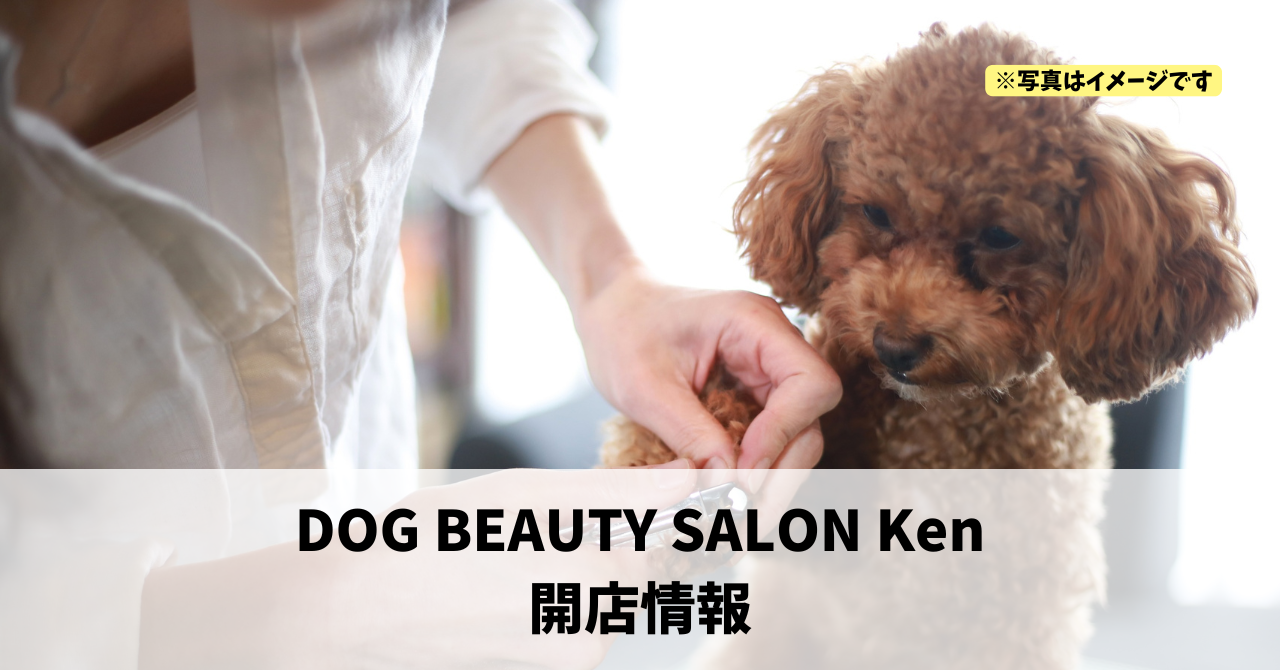 高林に『DOG BEAUTY SALON Ken』が2026年春頃にオープンします!