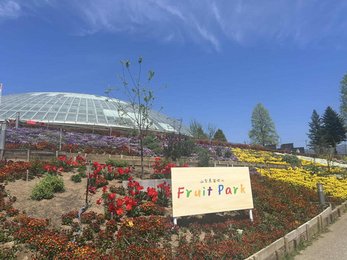 浜松から車で2時間半！GWに行きたい山梨ドライブ旅