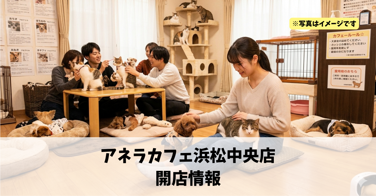 中央に『アネラカフェ浜松中央店』が2026年5月7日にオープンします！