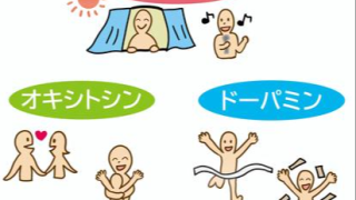 成長ホルモンがダイエットに効く2つの理由