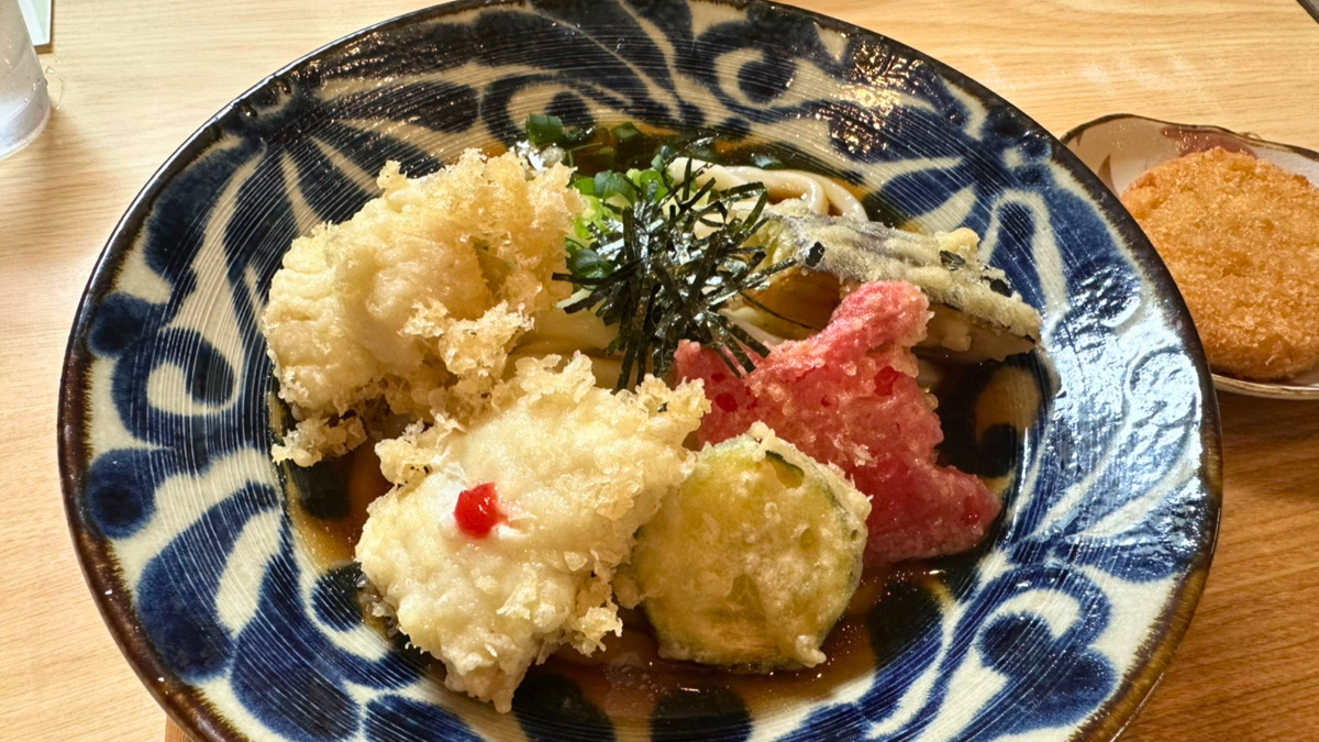 「手打ちうどん権太」の『天然鱧天うどん（初夏限定）』『山海おろしうどん』（舘山寺）