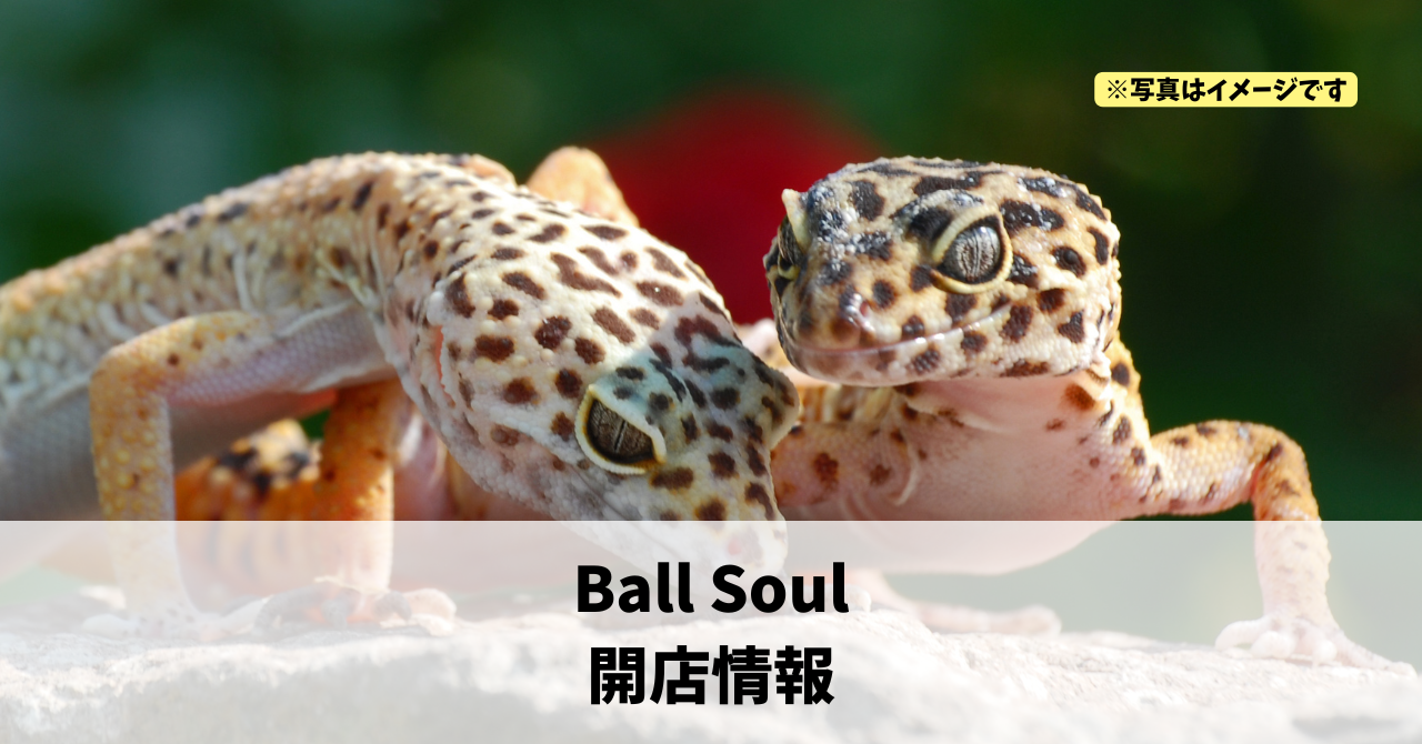 和田町に『Ball Soul』が2026年7月上旬にオープンします！