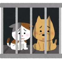 ちょっと待って！殺処分されるペットの気持ち。