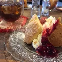 ハンモックカフェで過ごす贅沢な時間！ワンコも通えるおしゃれ空間