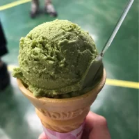 浜松湖北高校発信！ジェラートアイス「マテリア」と「竜ヶ岩洞」さんを紹介♪