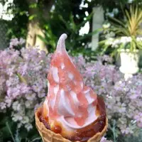 お花見と、お花が食べられる！？春のフラワーパークを満喫！