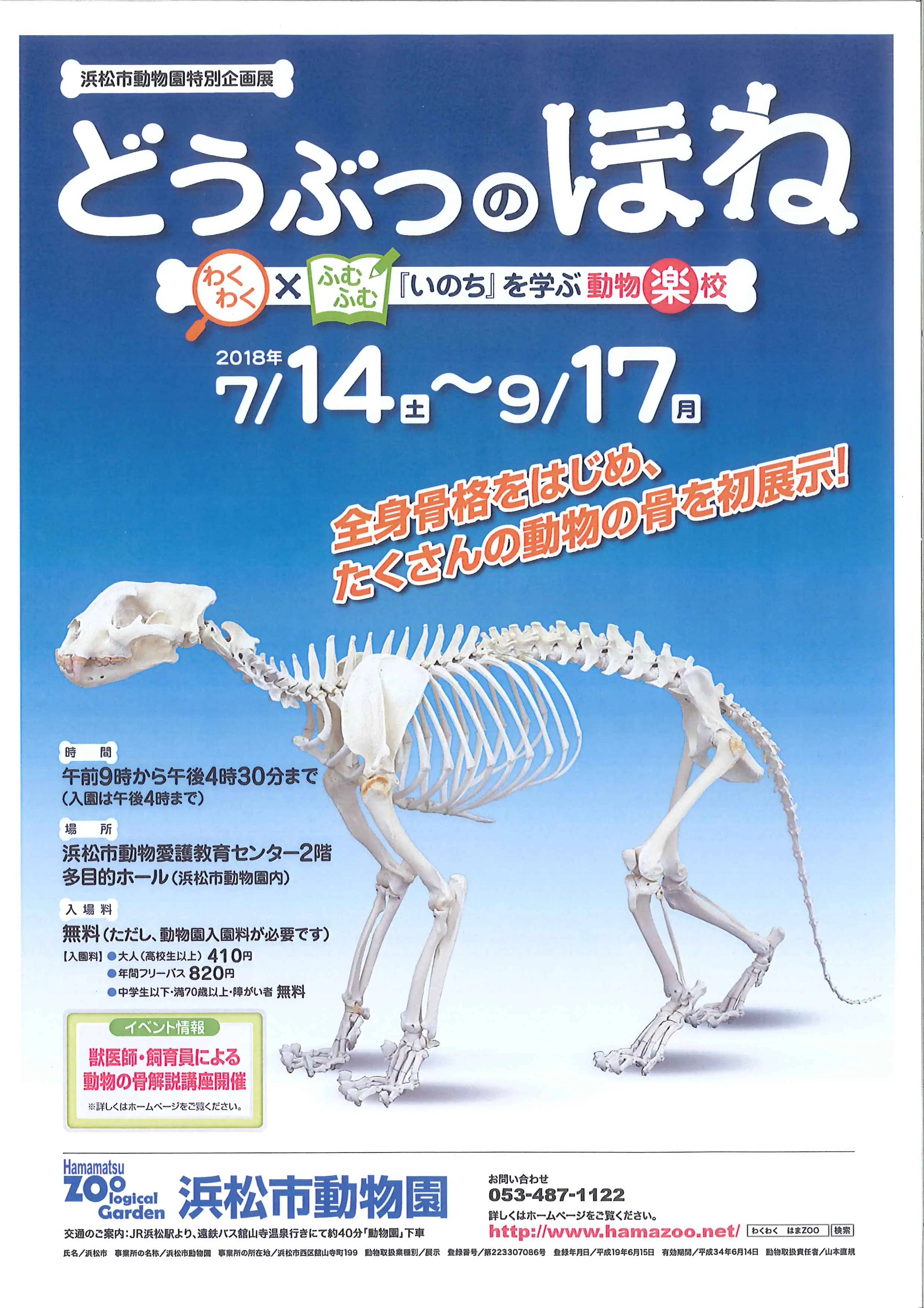 どうぶつのほね