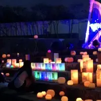 2018年度伊東商業高校発信！「伊東市が誇る夏のイベント」をご紹介♪