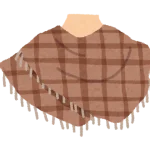fashion_stole