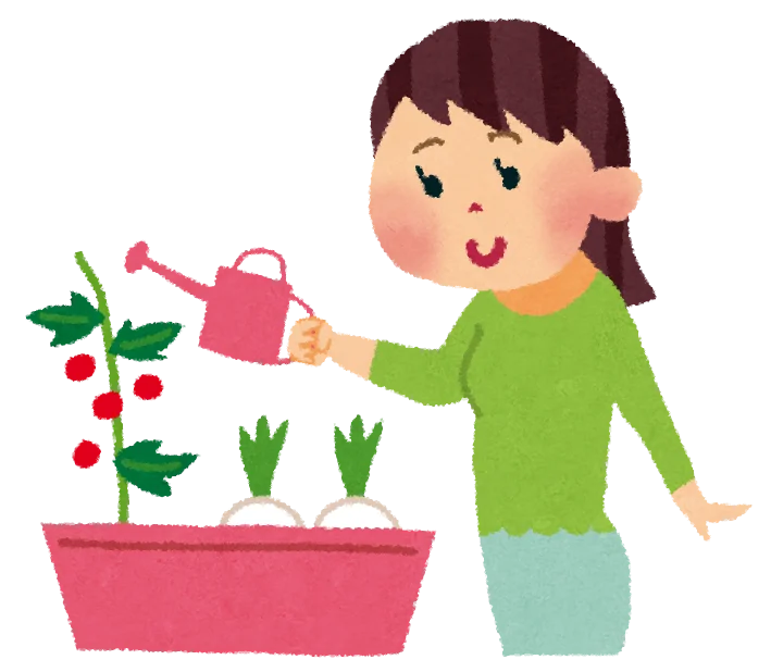 秋に始める育てやすいおすすめ野菜