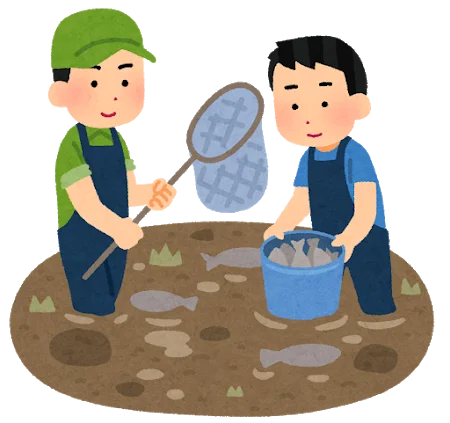 危険な外来種調べてみたよ