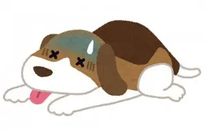 pet_byouki_dog(jpg)