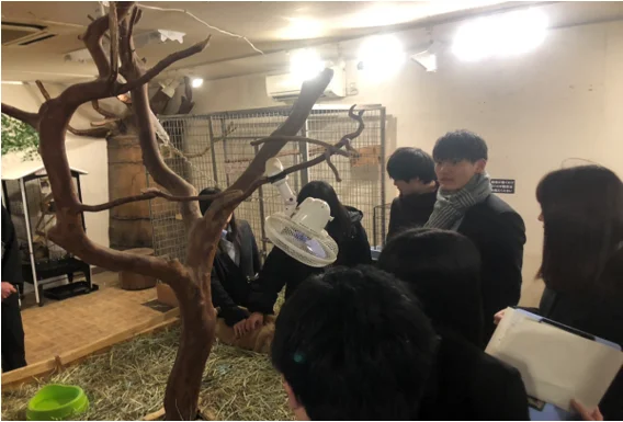 大室山2キャプチャ