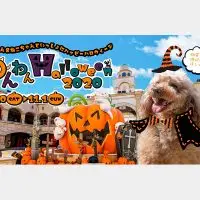ペットで楽しめるハロウィーンイベント！