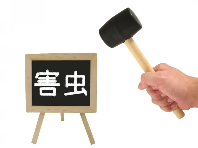 お家で害虫と出会いたくない！今の時期から始める害虫対策のすすめ