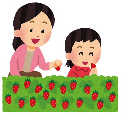 今が旬！美味しいイチゴの見分け方を紹介！