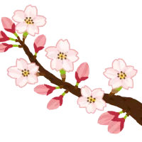 🌸桜・梅・桃🌸お花の見分け方！