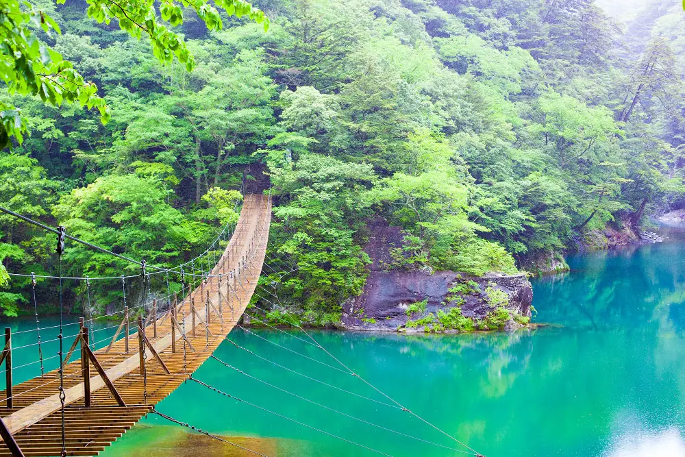ゴールデンウィークに行きたい！静岡県おすすめスポット５！2025年